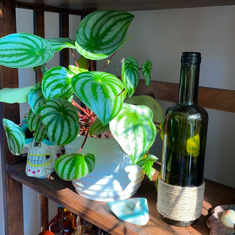 Hand made hemp wrapped wine bottle accent piece